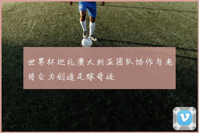 世界杯巡礼澳大利亚团队协作与老将合力创造足球奇迹