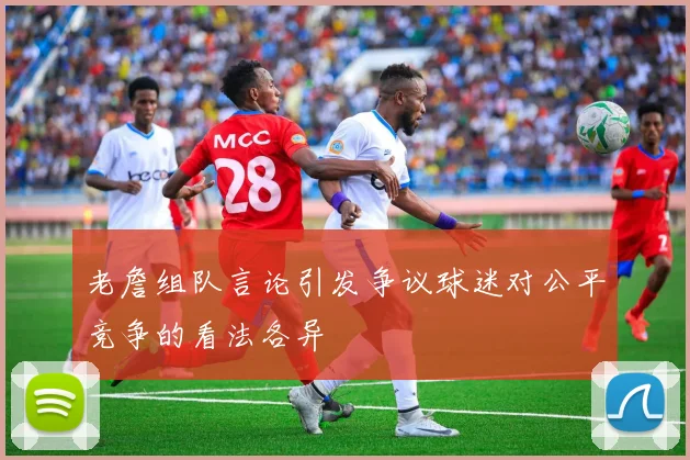 老詹组队言论引发争议球迷对公平竞争的看法各异